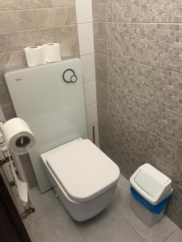 a bathroom with a white toilet and a sink at Strand Apartman Hajdúszoboszló in Hajdúszoboszló