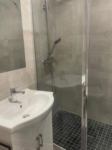 une salle de bain avec un lavabo et une douche dans l'établissement place Peyramale, à Lourdes