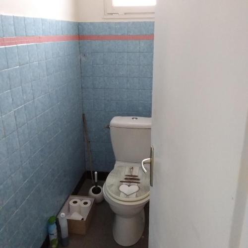 - une salle de bains pourvue de toilettes dans une chambre dotée de carrelage bleu dans l'établissement Maison de campagne, à Saint-Martin-des-Noyers