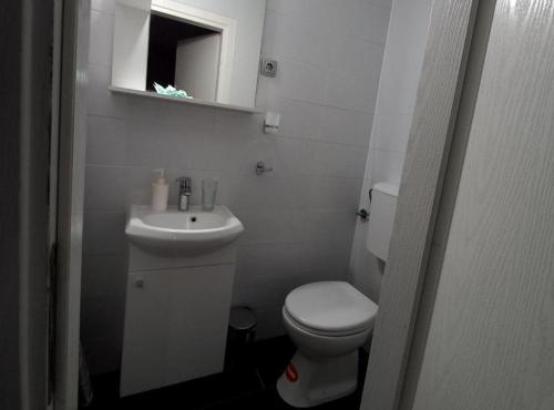 a white bathroom with a toilet and a sink at Pansion Stones Murter in Murter