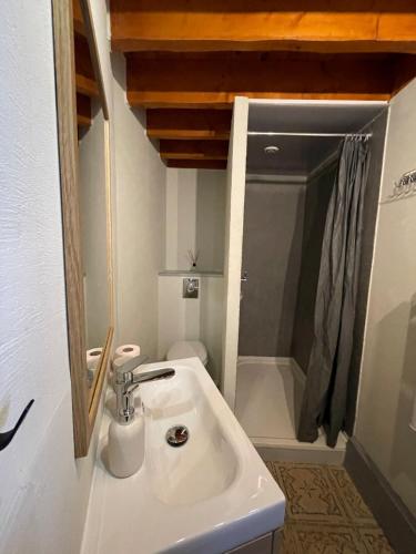 une salle de bain blanche avec un lavabo et une douche dans l'établissement Charmant studio indépendant, à Oinville-sur-Montcient