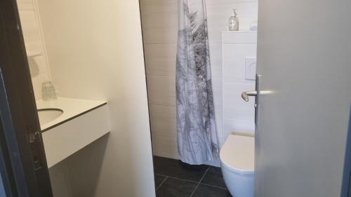 a bathroom with a toilet and a sink at City Hotel Winschoten in Winschoten