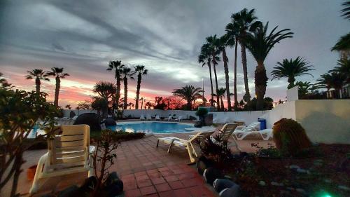 サンミゲル・デ・アボナにある2-Bed Apt Sleeps 4 Steps out on to the Poolのパティオ(椅子付)、ヤシの木があるスイミングプール