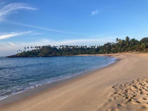 an empty beach with trees in the background at Margosa villa in Tangalle