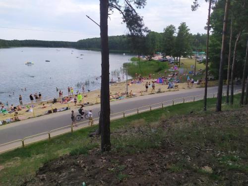 Goreń DużyにあるDomek nad stawemのギャラリーの写真