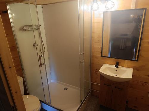 a bathroom with a shower and a sink at Domek nad stawem in Goreń Duży