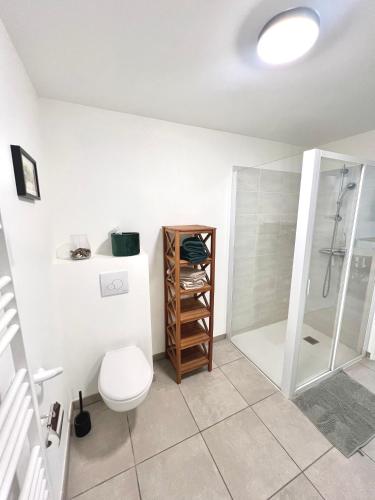 une salle de bain avec toilettes et douche dans l'établissement T2 dans résidence calme - proche des thermes et du centre, à Châtel-Guyon