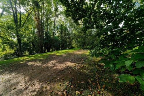 un chemin de terre au milieu d'une forêt dans l'établissement Le Cottage de St Aubierge, à Mauperthuis