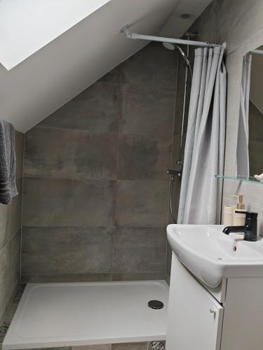 La salle de bains est pourvue d'une douche, d'un lavabo et d'un rideau de douche. dans l'établissement Chambre 2 dans appartement partagé proche de Strasbourg, à Wasselonne