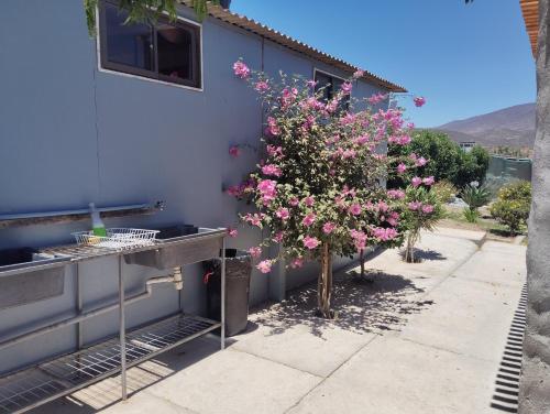 two trees with pink flowers next to a house at Casona familiar ,Rosario valle del elqui in La Serena