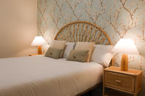 MonKeys Apartments San Bernardo