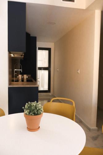 MonKeys Apartments San Bernardo