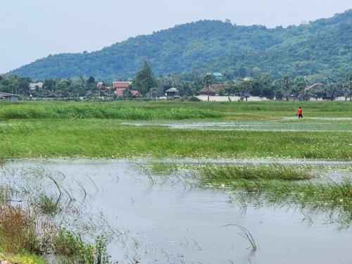 a person standing in a field near a body of water at Villa Baansiesom in Sam Roi Yot