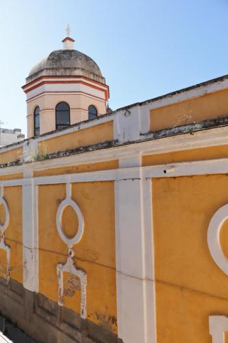 MonKeys Apartments San Bernardo