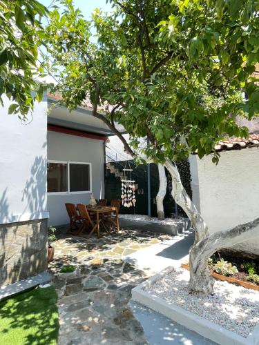 Lemon Yard Apartment