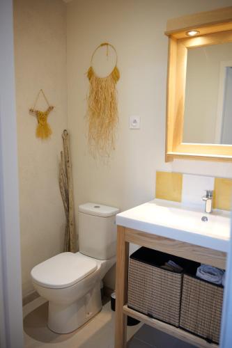 a bathroom with a toilet and a sink and a mirror at Maison Stony - Gîtes & Vignoble in Frontignan