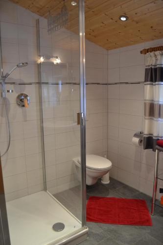 a bathroom with a toilet and a glass shower at Ferienwohnungen Kressenlehen in Bischofswiesen