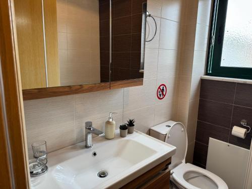 a bathroom with a sink and a toilet at Eriand Maisonette in Lefkada Town
