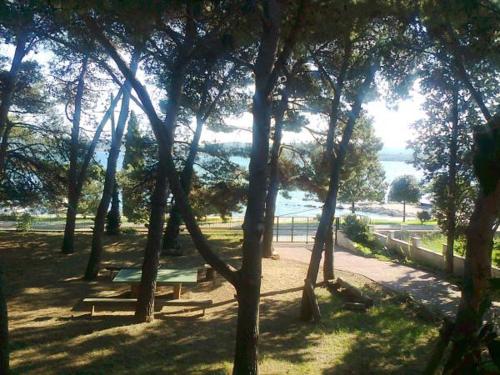 Imagen de la galería de Apartmani Park, en Sveti Filip i Jakov