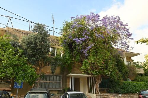 Vintage Apartment in Byblos Historical Center