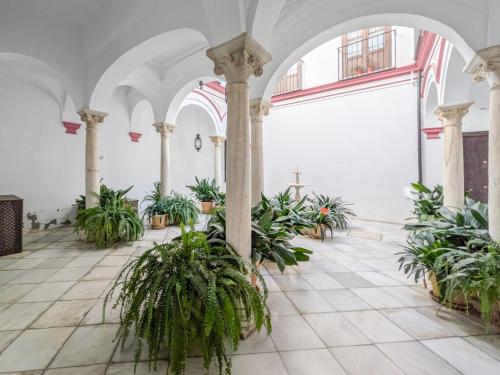 Ohliving Juderia 2