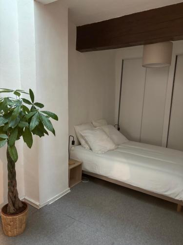 een slaapkamer met een bed en een potplant bij Le Clos Saint-Jacques in Grenoble