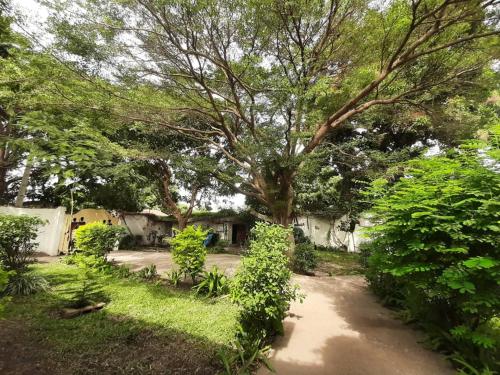 Сад в Casa Hotel Sinkiling Gambia
