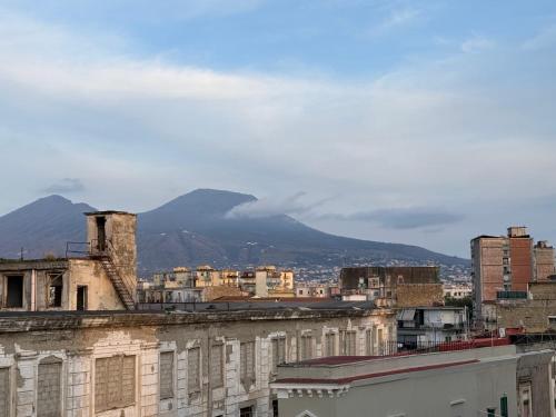Miranapoli Suite