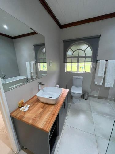 a bathroom with a sink and a toilet at Riecor Guest Farm in Thabazimbi