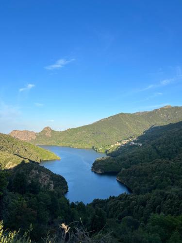 Příroda nedaleko venkovského domu