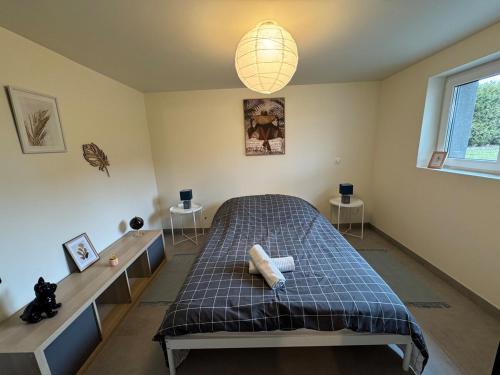 a bedroom with a bed and two tables and a lamp at Quiétude au bord du Rhin in Beinheim