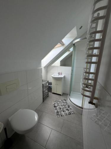 a bathroom with a toilet and a shower and a sink at Nad Strumykiem in Koszele