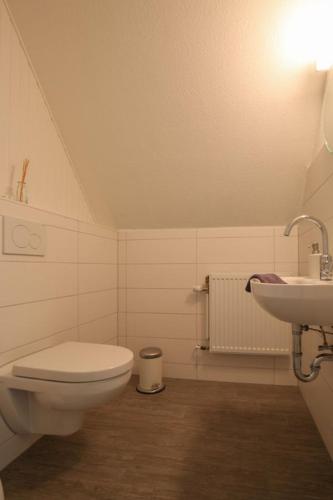 a bathroom with a toilet and a sink at Waldhusen-Warft in Pellworm