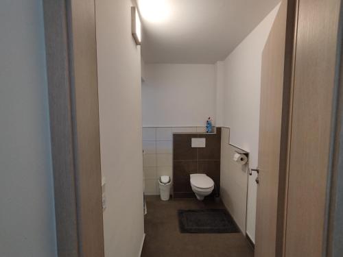 a small bathroom with a toilet and a sink at Ferienhaus Mauthen 206 in Kötschach