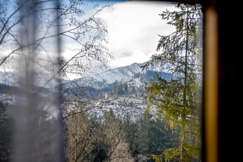 a view of a snow covered mountain through a window at U Justynki in Małe Ciche