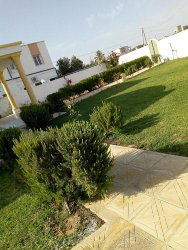 a garden with a bush in the middle of a yard at Villa with swimming pool in Djerba Midoun in Al Maqārisah