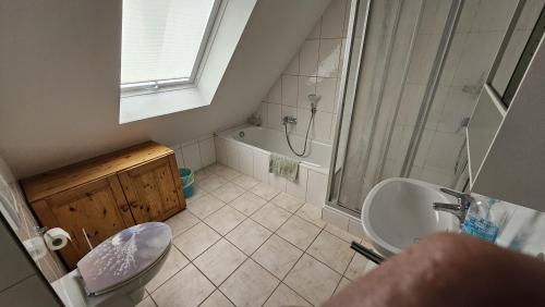a bathroom with a shower and a sink and a toilet at Mi Casa Es Su Casa - 2 Zimmerwohnung mit Tiefgaragenparkplatz in Krumbach