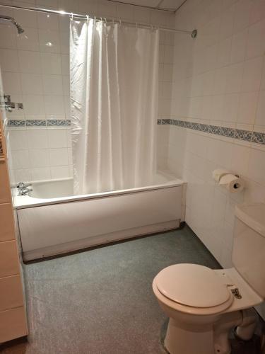 a bathroom with a toilet and a shower with a tub at Borough Arms Hotel in Stoke on Trent