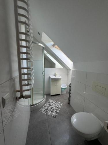 a bathroom with a glass shower and a toilet at Nad Strumykiem in Koszele