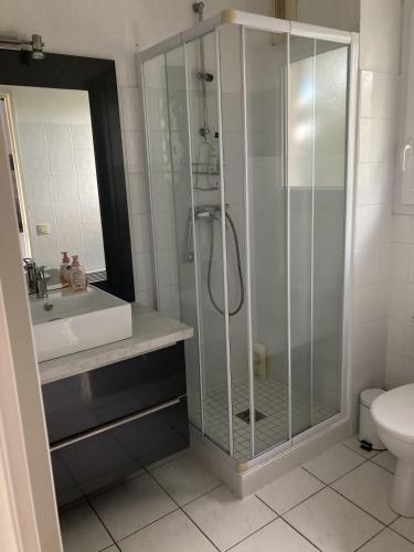 une salle de bain avec une douche, un lavabo et des toilettes dans l'établissement les maisons bleues, à Capbreton