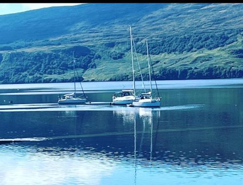 three boats sitting in a body of water at Stein Inn in Stein