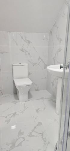 a white bathroom with a toilet and a sink at Abi's World - 23 Kilmartin Grove Green, Hollystown, Dublin 15 in Dublin