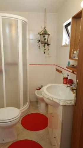 a bathroom with a shower and a toilet and a sink at Casa do Campo in Carvoeiro