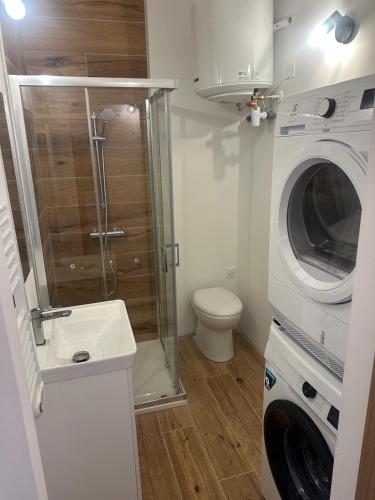 une salle de bain avec douche et machine à laver dans l'établissement Charming village house, à Cambia