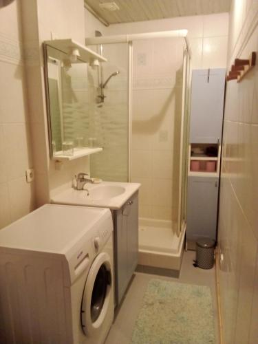 une salle de bain avec une machine à laver et un lavabo dans l'établissement Appartement des cimes du Granier, à Les Déserts