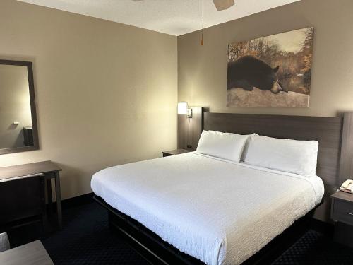 Кровать или кровати в номере Sidney James Mountain Lodge