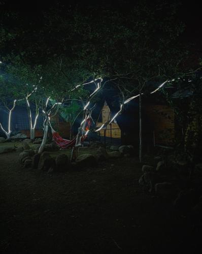 a person sitting in a hammock under a tree at night at Cabañas cerca de Baños de Agua Santa - RIO VERDE in Río Verde