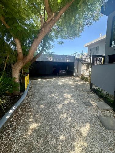 a driveway with a tree next to a house at Departamento Excelente Ubicación. Zona Arístides y Parque. in Mendoza