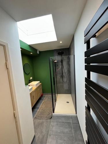 a bathroom with a shower and a sink at Vakantiewoning Huis 14 in Mechelen
