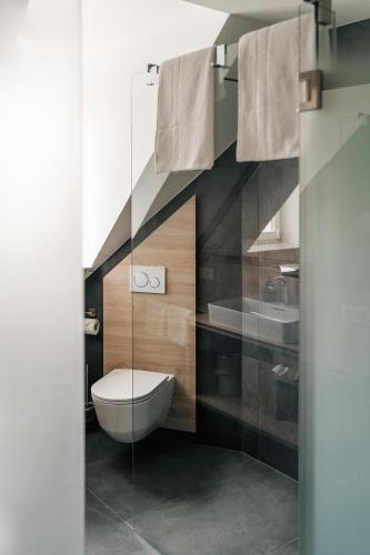 a bathroom with a toilet and a sink at Der Heindlhof in Neualbenreuth
